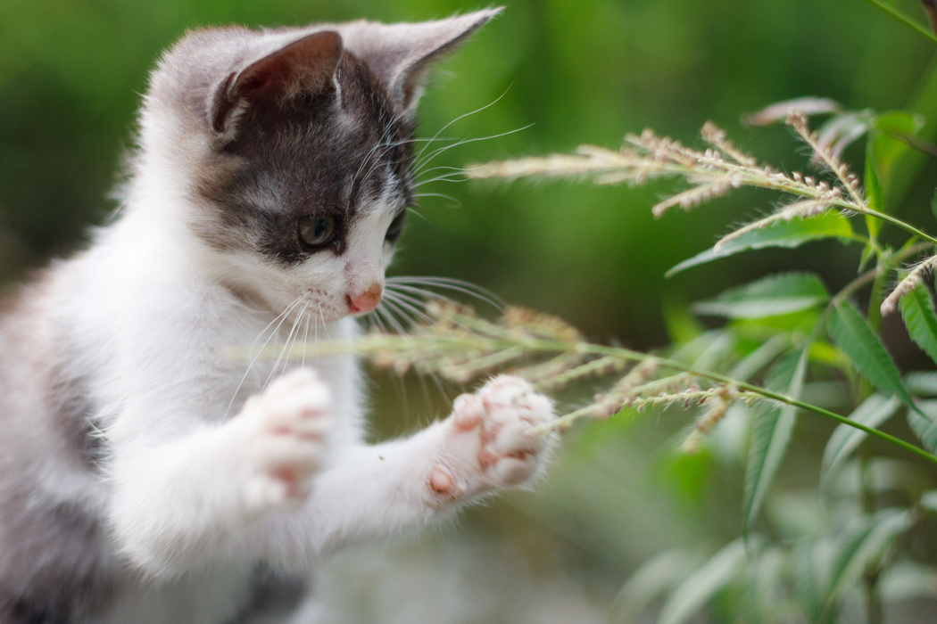 好玩的网游,人妻被粗大猛进猛出69国产,精品国产一区