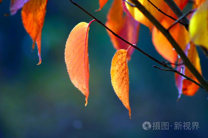 国产精品丰满无码理论片,年轻的朋友6韩国电影免费观看,中文字幕无码一级二级